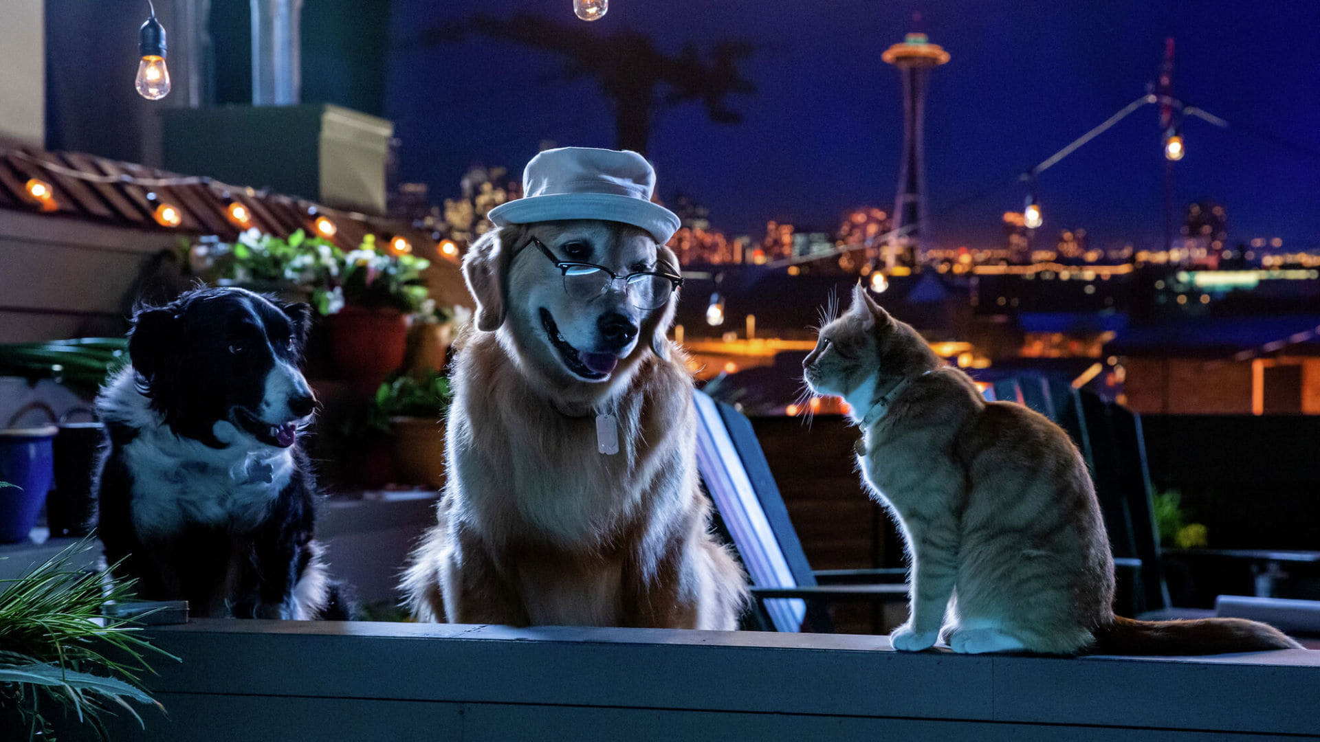ძაღლები და კატები 3 : ერთიანი ძალით / Cats & Dogs 3: Paws Unite
