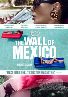 მექსიკის კედელი / The Wall of Mexico