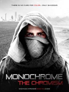მონოქრომა: ქრომიზმი / Monochrome: The Chromism
