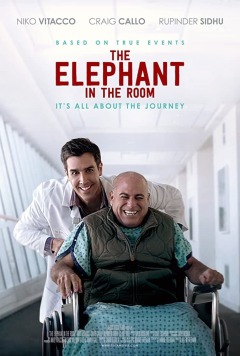 ოთახში მყოფი სპილო / The Elephant in the Room