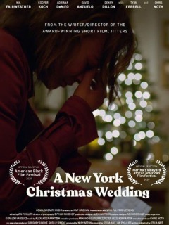 ნიუ იორკის საშობაო ქორწილი / A New York Christmas Wedding