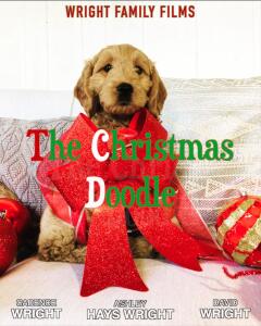 საშობაო დუდლი / The Christmas Doodle