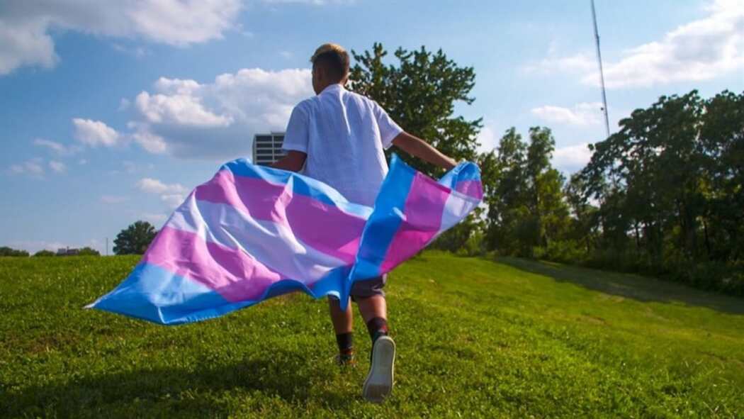 ტრანსების საზოგადოება / Transhood