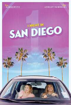 ერთი ღამე სან დიეგოში / 1 Night in San Diego