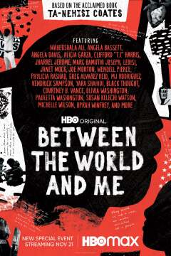 სამყაროსა და ჩემ შორის. / Between the World and Me
