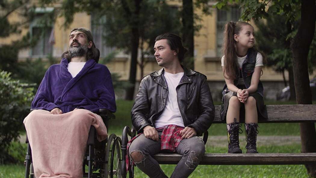 სახლი ხეზე / Casa din copac