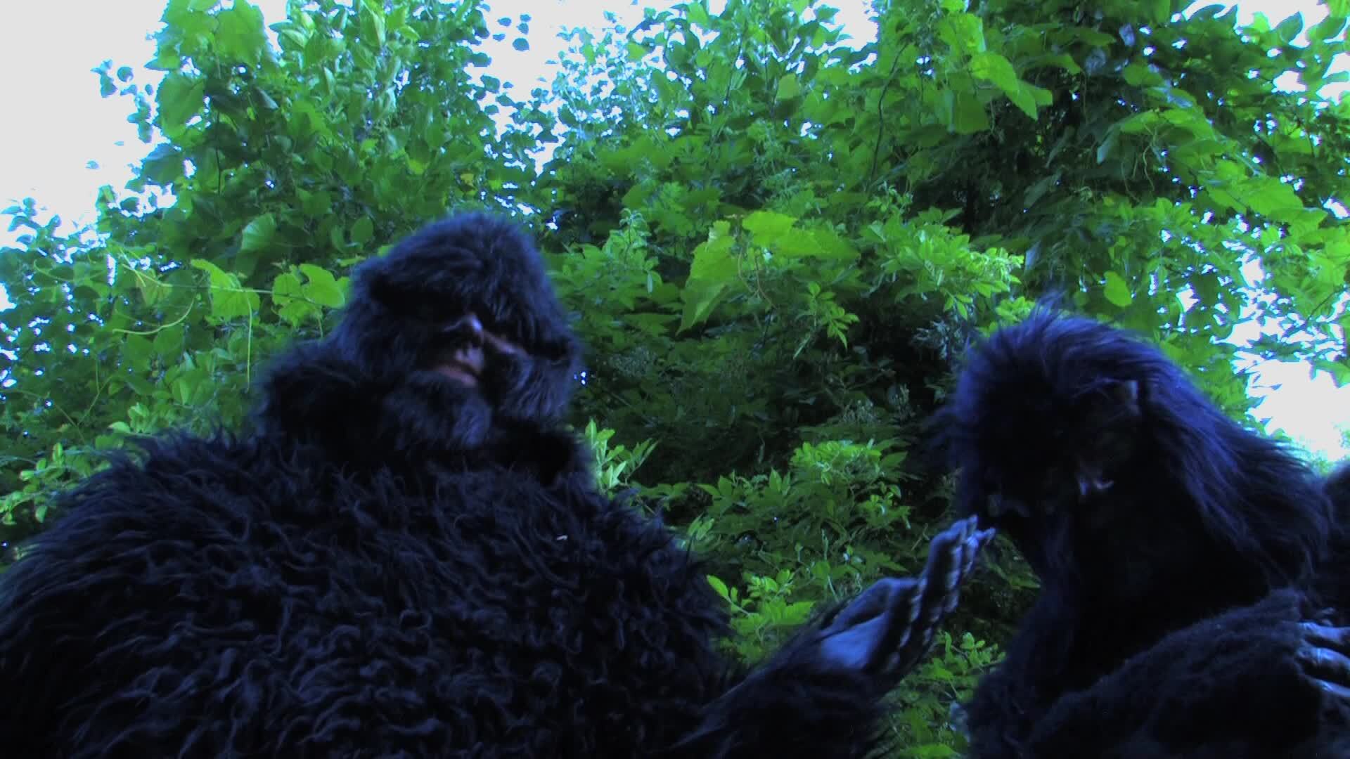 Bigfoot!