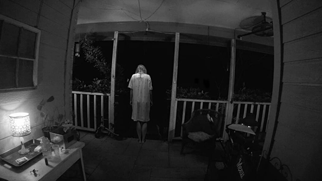 უცნობი სტუმარი / Unknown Visitor