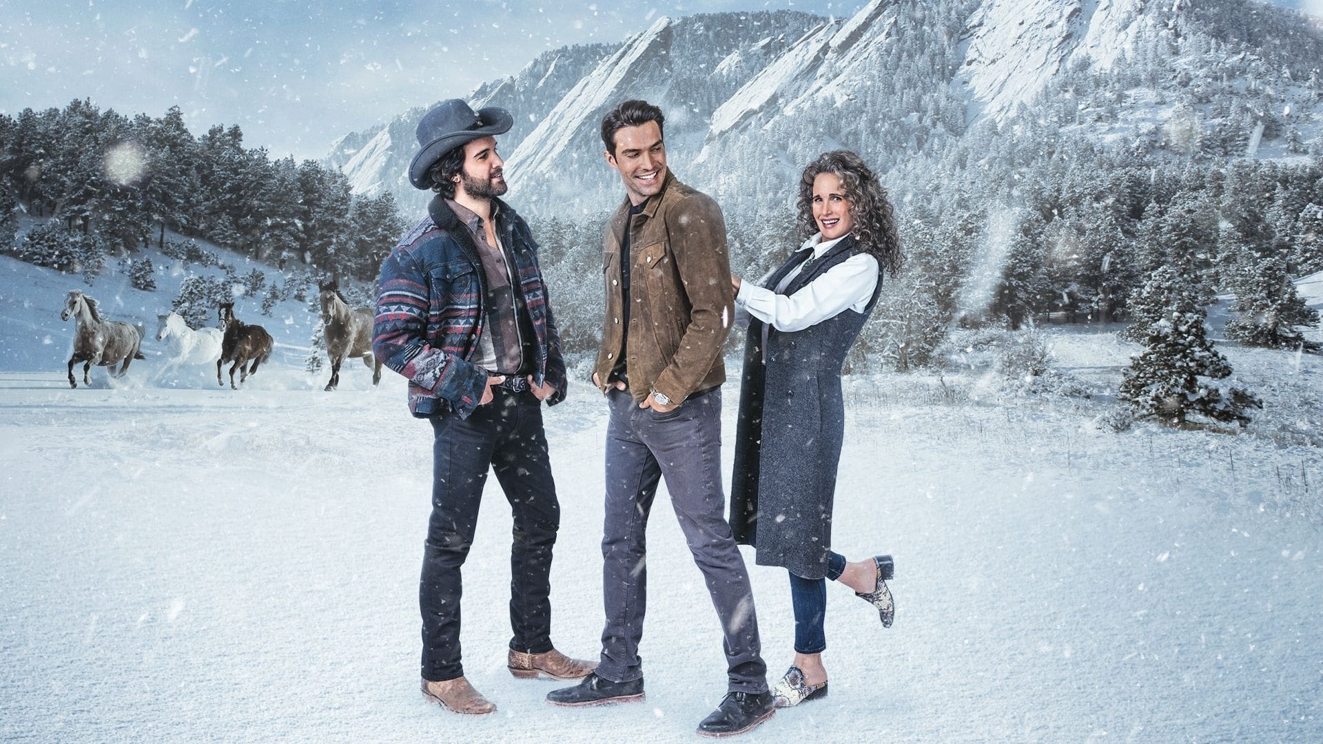სიგიჟე დეკემბერში / Dashing in December