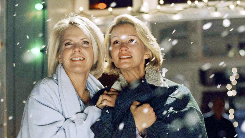 სტუმარი საშობაოდ / A Christmas Visitor