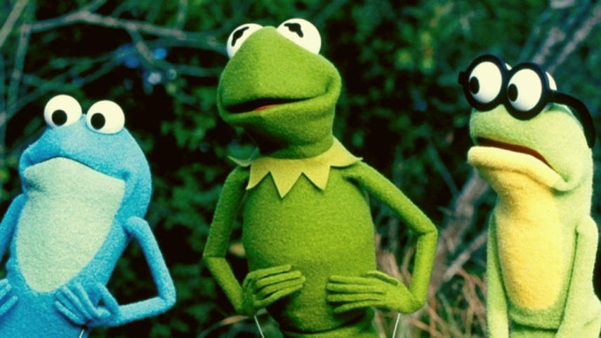ბაყაყი კერმიტი: წლები ჭაობში / Kermit's Swamp Years