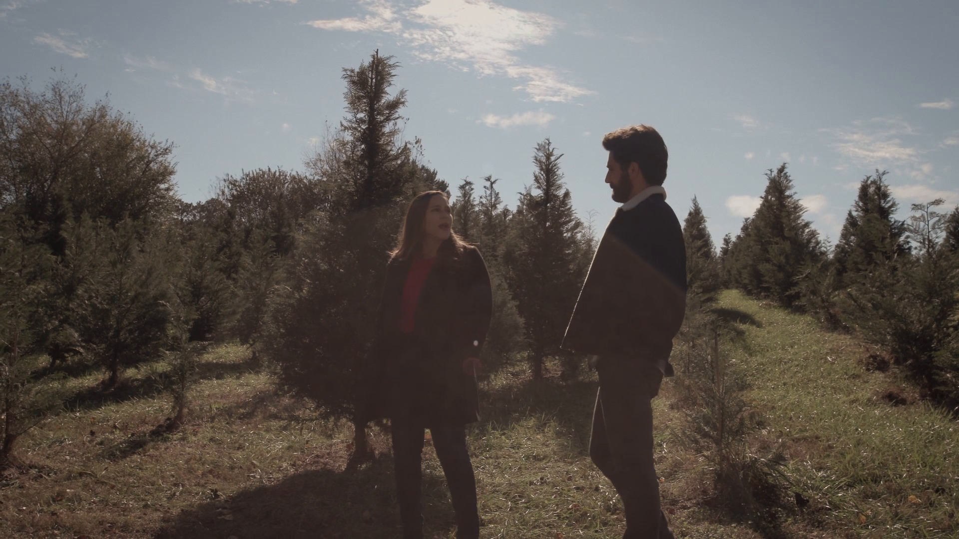 შობის ხის სიყვარლის ისტორია / A Christmas Tree Love Story