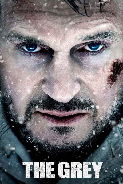 რუხი ფერი / The Grey