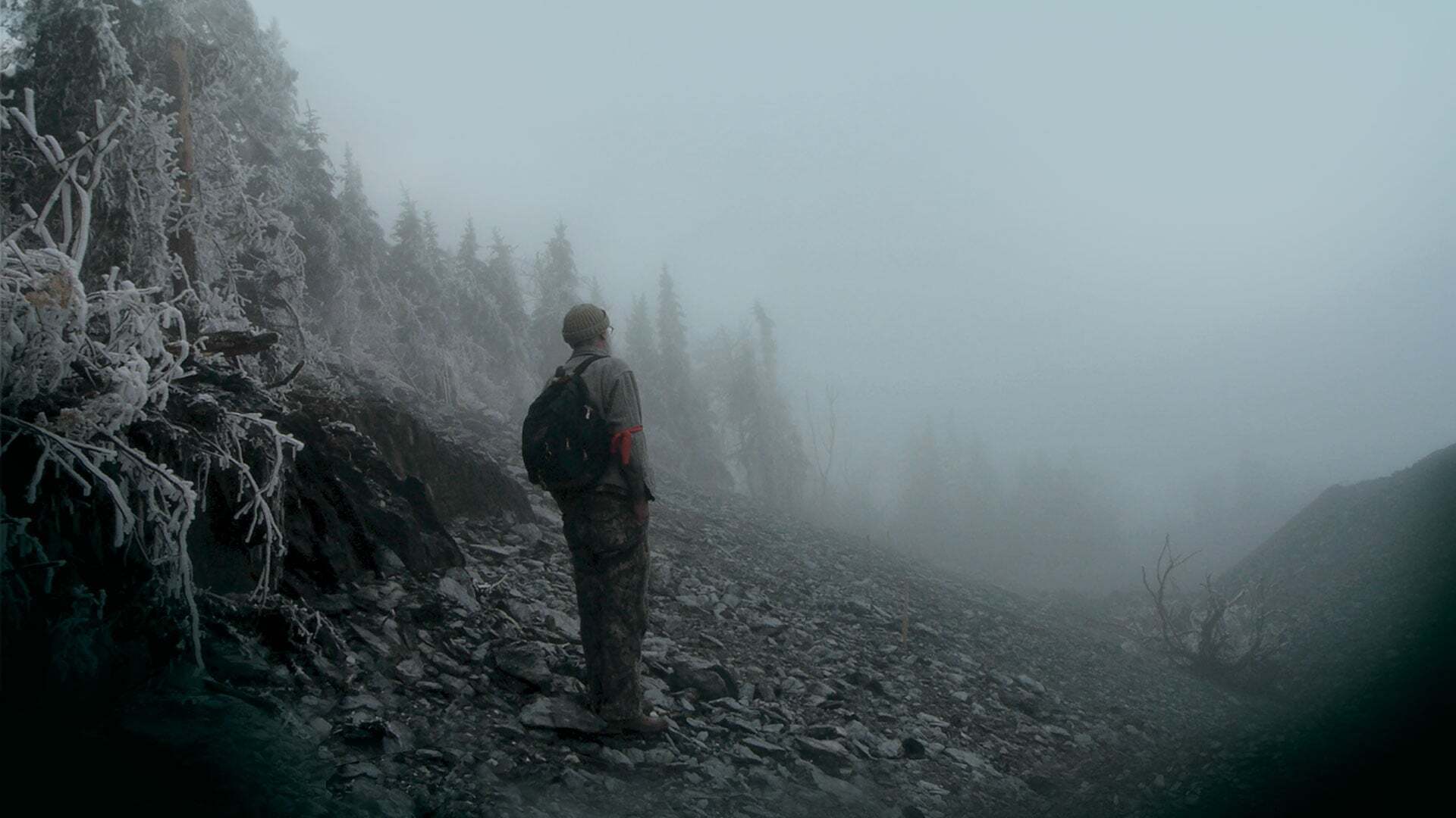 Planet of the Humans / Планета людей