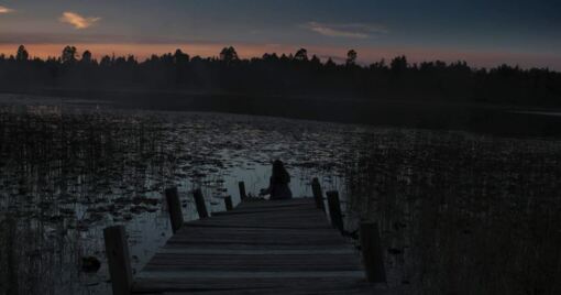 ტყის ნინა / Nina of the Woods