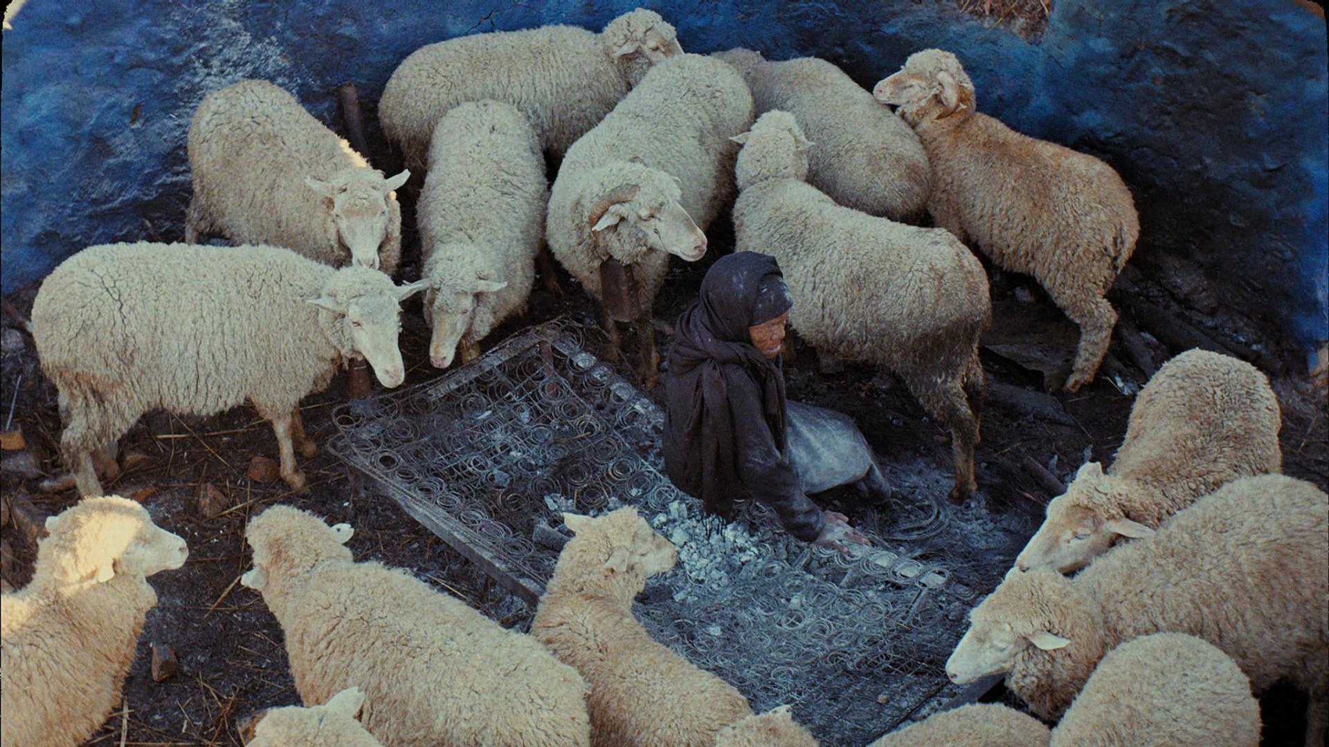 ეს დაკრძალვა არ არის , ეს აღდგომაა / This Is Not a Burial, It's a Resurrection