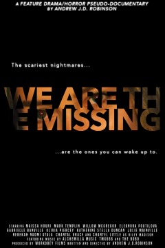 ჩვენ  დავიკარგეთ / We Are the Missing