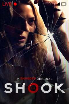 დარტყმა / Shook