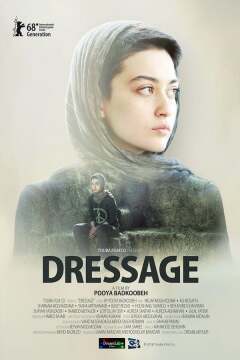 დრესაჟი / Dressage