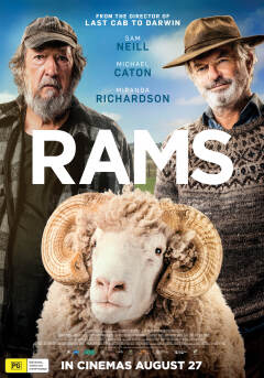 ცხვრები / Rams