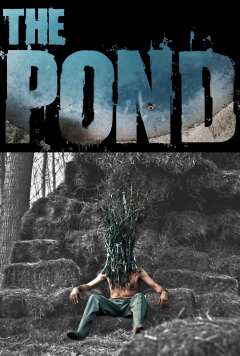 ტბორი / The Pond