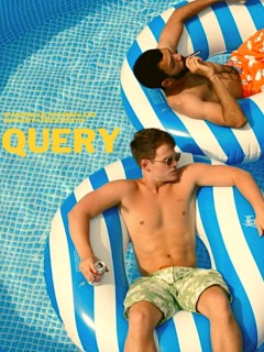 ეჭვი / Query