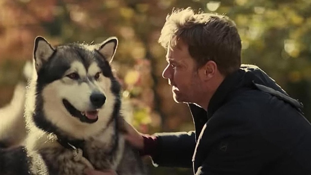 გმირი ძაღლი / Hero Dog: The Journey Home