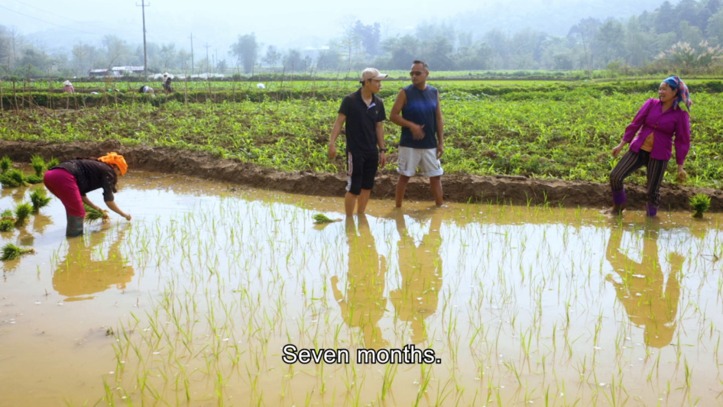 ვიეტნამი: სწრაფად წინ / Vietnam: Fast Forward