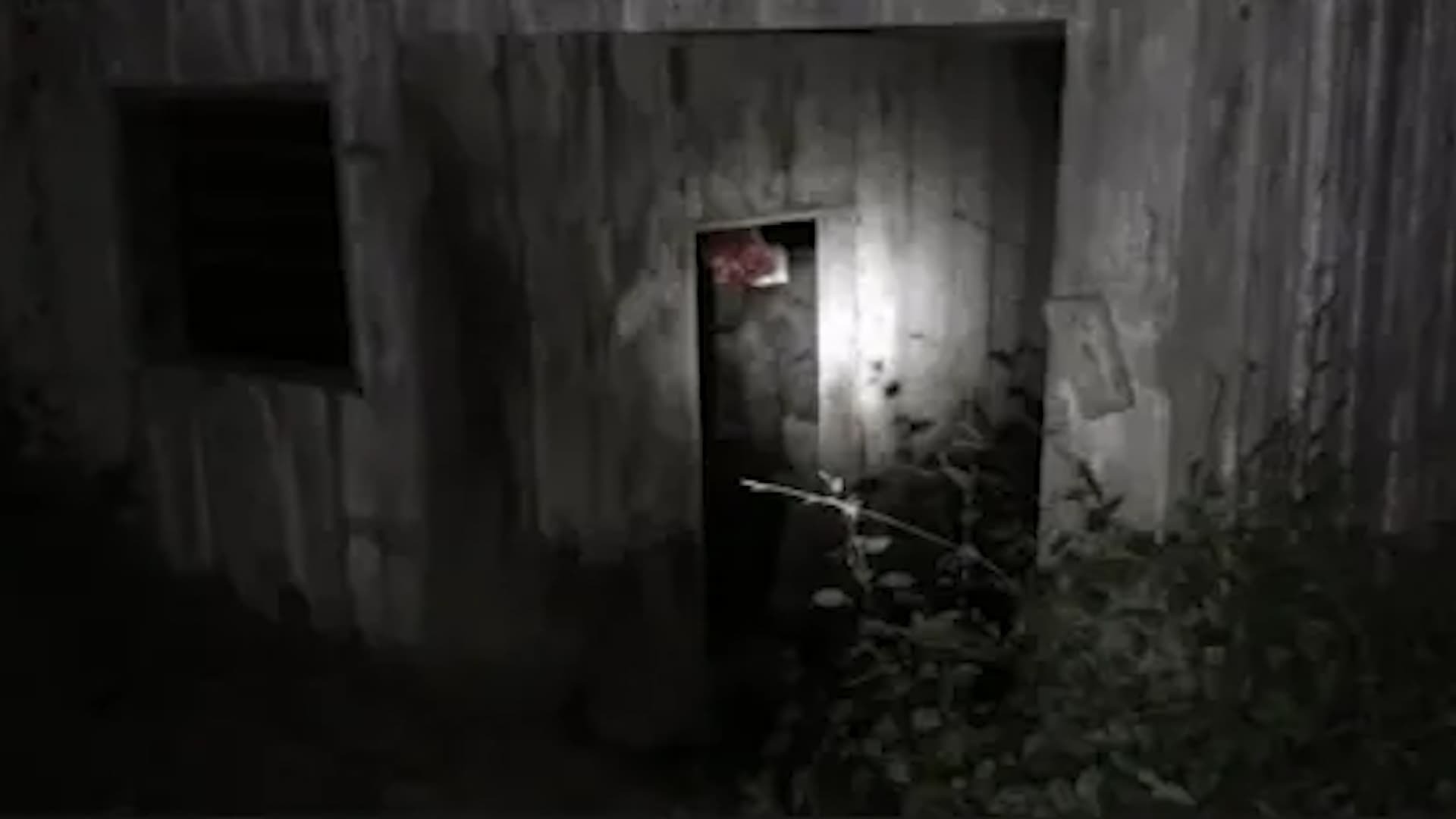 საშიში კადრები: დილის 3 საათი / The Fear Footage: 3AM
