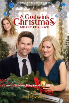 საშობაო იმედი: ეწერა შეყვარება / A Godwink Christmas: Meant for Love