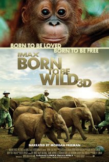 ველურებად დაბადებულნი / Born to Be Wild