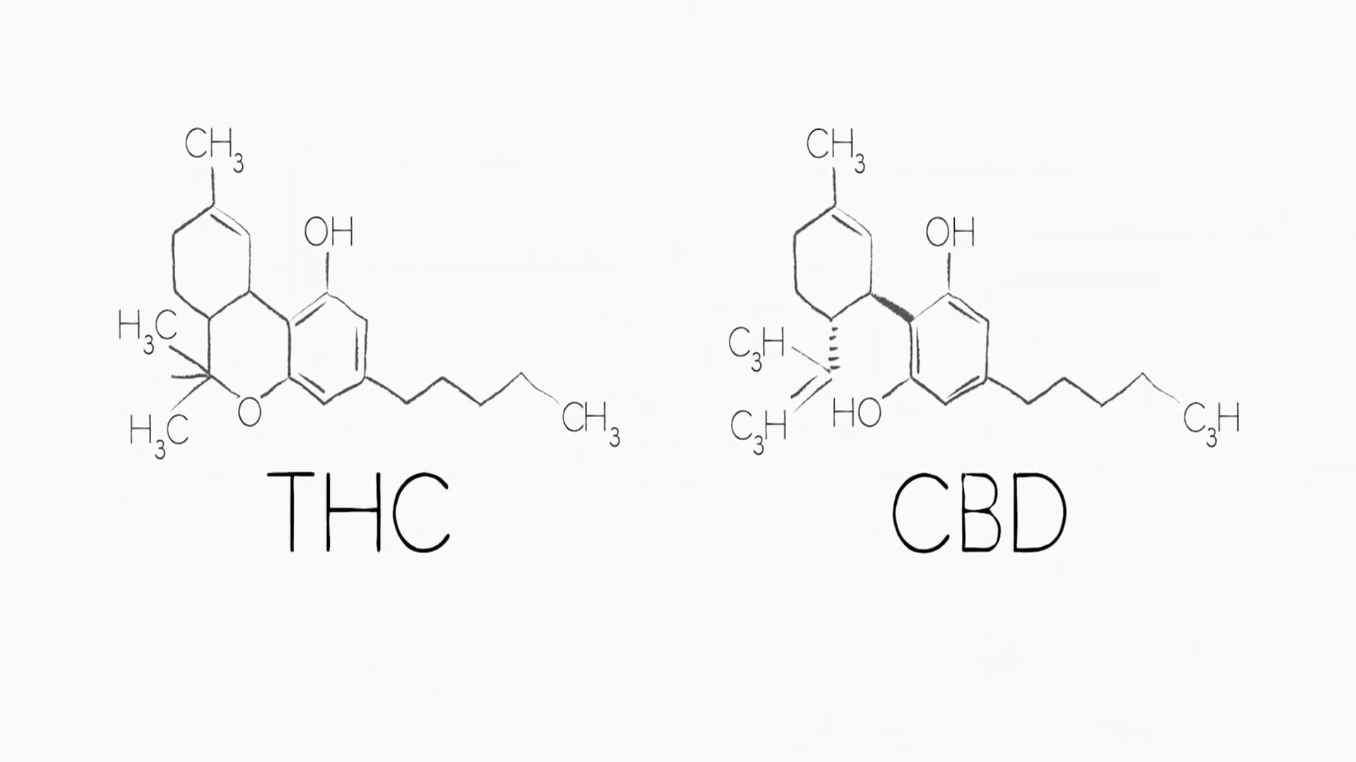 მარიხუანას ინდუსტრია / Going to Pot: The Highs and Lows of It