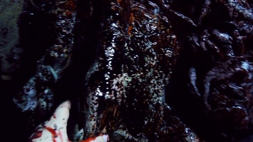 სასტუმრო ინფერნო 3: კივილის სასახლე / Hotel Inferno 3: The Castle of Screams
