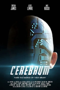 ნახევარსფერო / Cerebrum