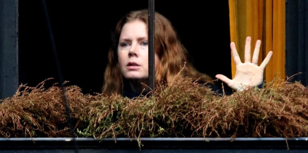 ქალი ფანჯარაში / The Woman in the Window