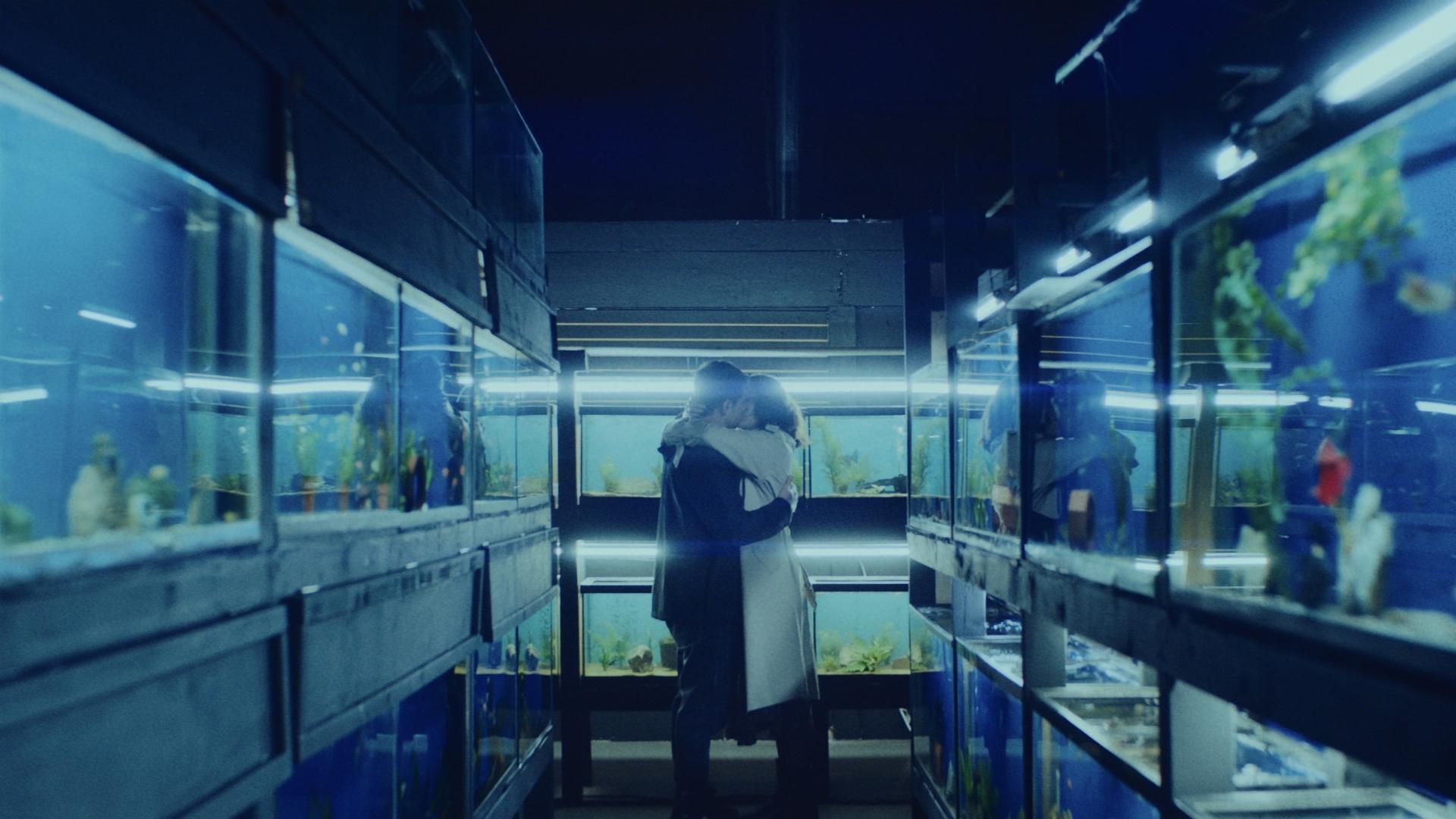 პატარა თევზი / Little Fish