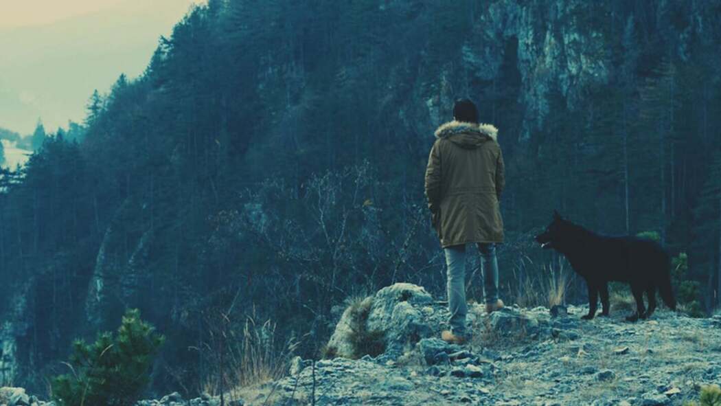 ძაღლები მარტო კვდებიან / Dogs Die Alone