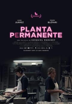 მუდმივი მცენარე / Planta permanente