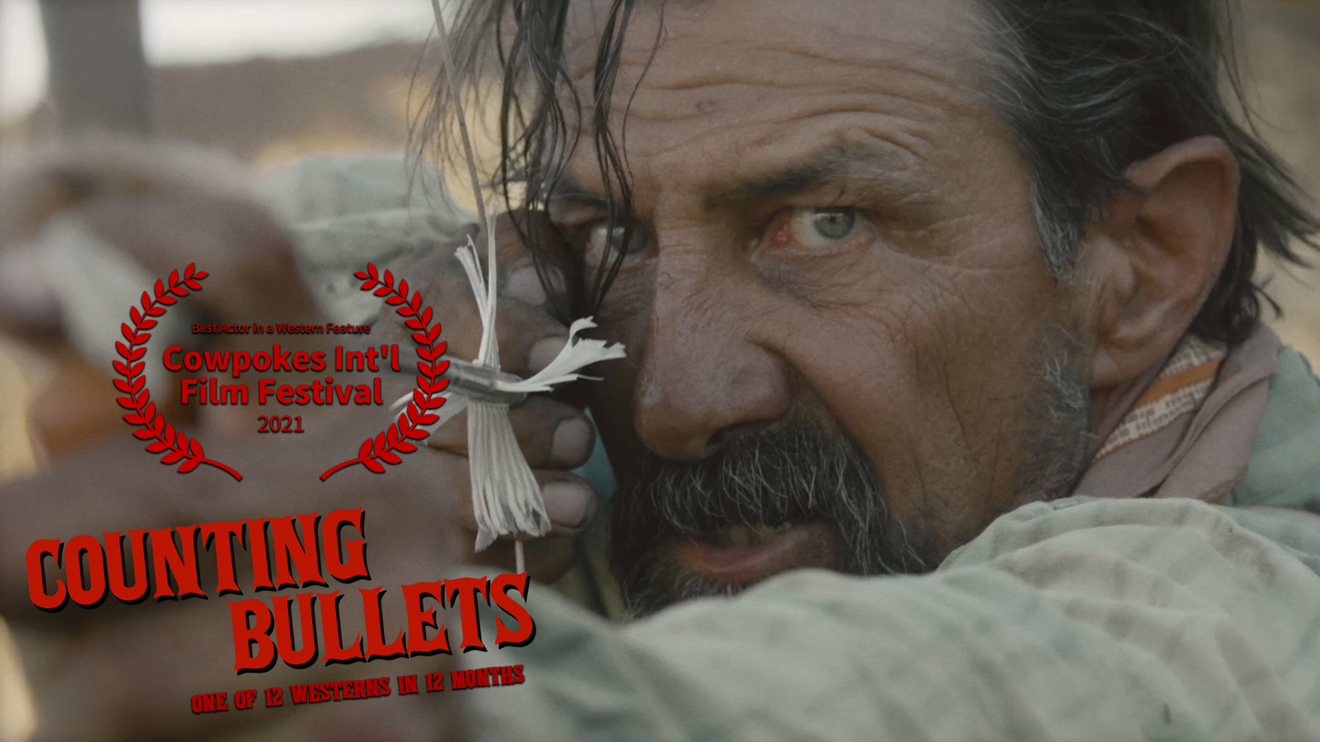 ტყვიები მიზანში / Counting Bullets