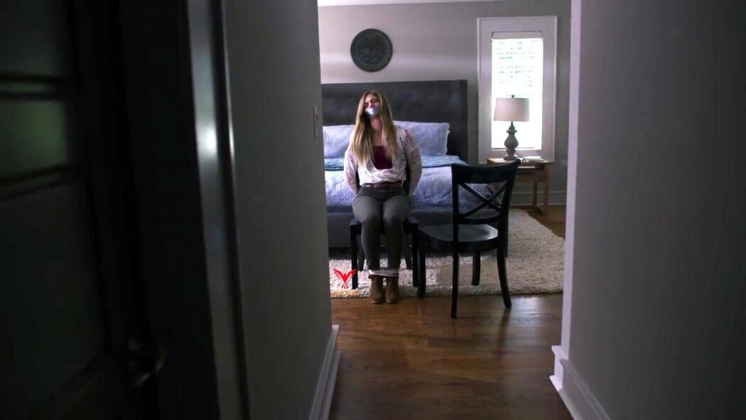 უცნობი, რომელიც მან სახლში მოიყვანა / The Stranger She Brought Home