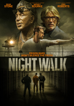 ღამის გასეირნება / Night Walk