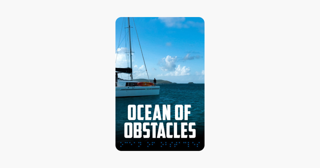 დაბრკოლებების ოკეანე / Ocean of Obstacles