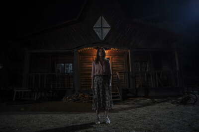 კლასიკური საშინელებათა ისტორია / A Classic Horror Story