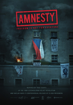 ამნისტია / Amnestie