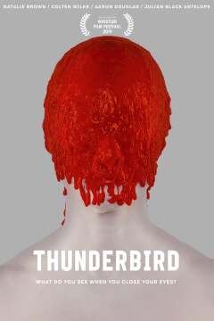 ქარიშხლის მაცნე / Thunderbird