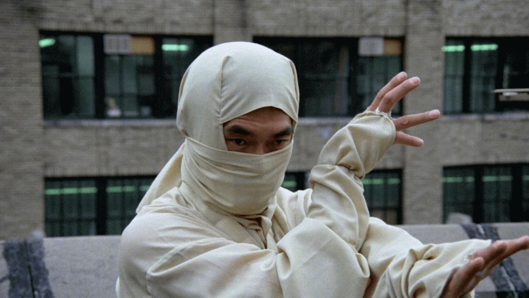 ნიუ-იორკის ნინძა / New York Ninja