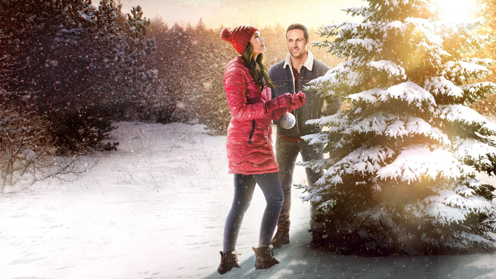 საშობაო დაპირება / The Christmas Promise