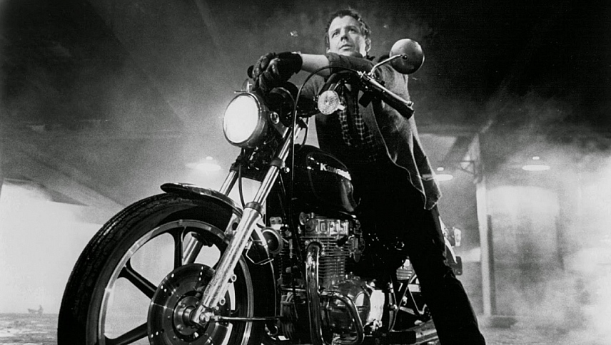 მებრძოლი თევზი / Rumble Fish