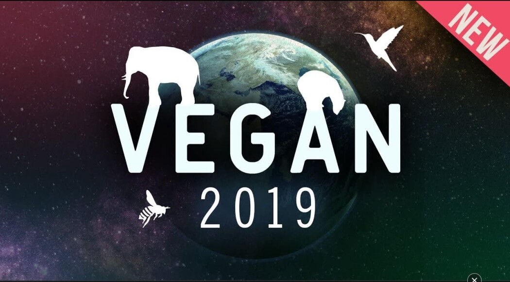 ვეგანი 2019 / Vegan 2019