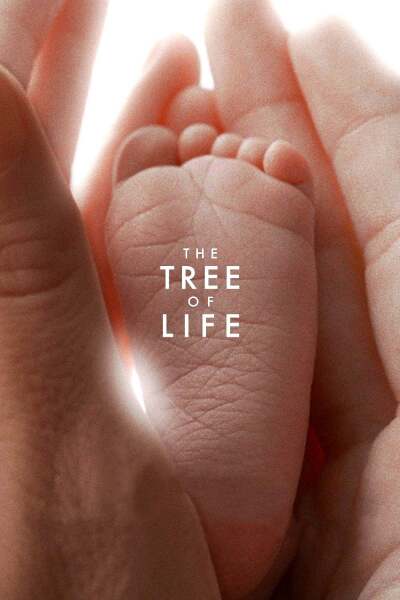 სიცოცხლის ხე / The Tree of Life